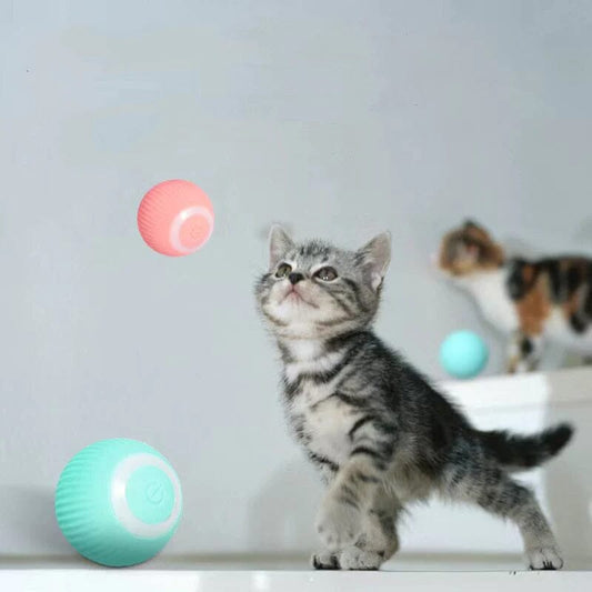 MeowMotion - De slimme, elektrische speelbal die automatisch rolt en draait voor uren kattenplezier.